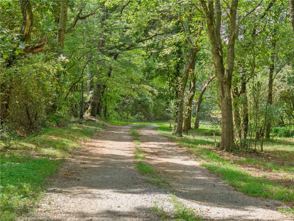 a view of backyard with green space