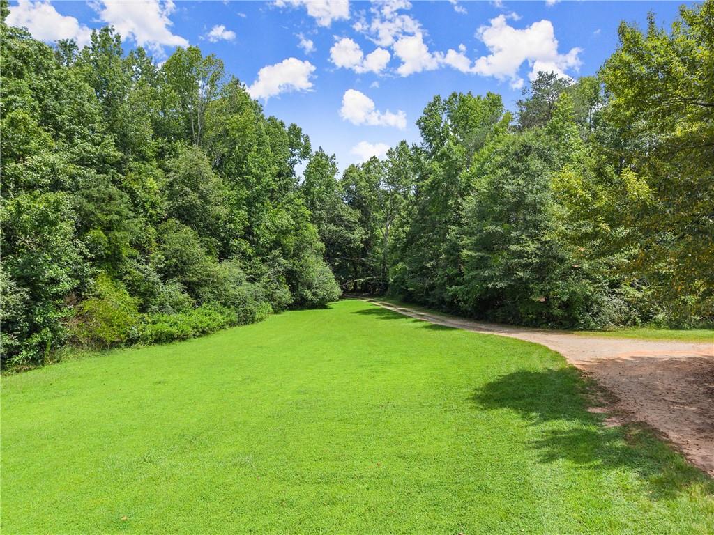 8285 Campground Road Clermont, GA 30527 - Photo 14 of 32 a view of a trees with a yard