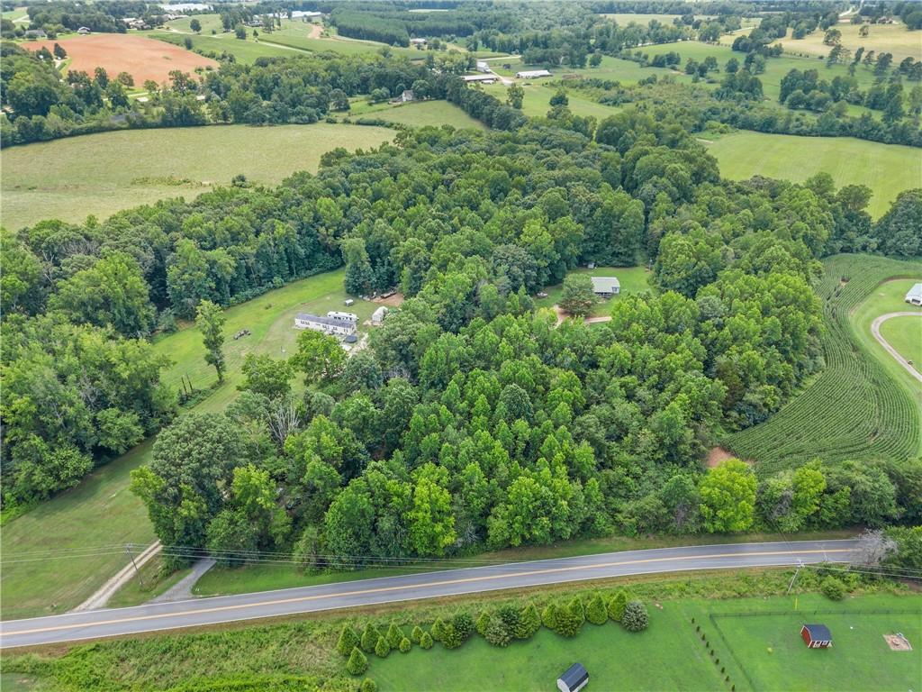 8285 Campground Road Clermont, GA 30527 - Photo 21 of 32 a view of a garden with a lake view