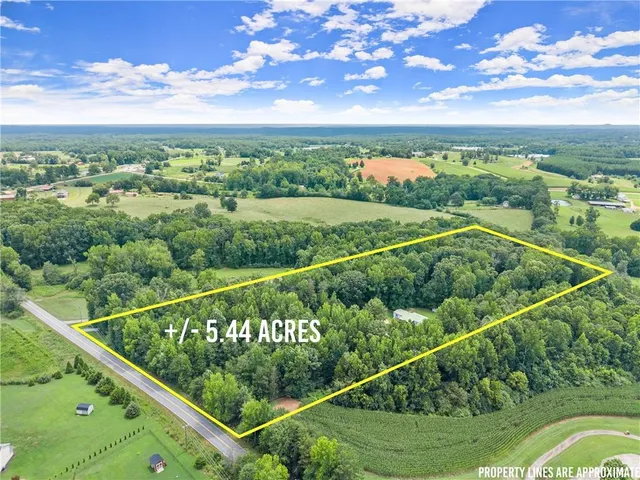 a view of a city with lush green forest