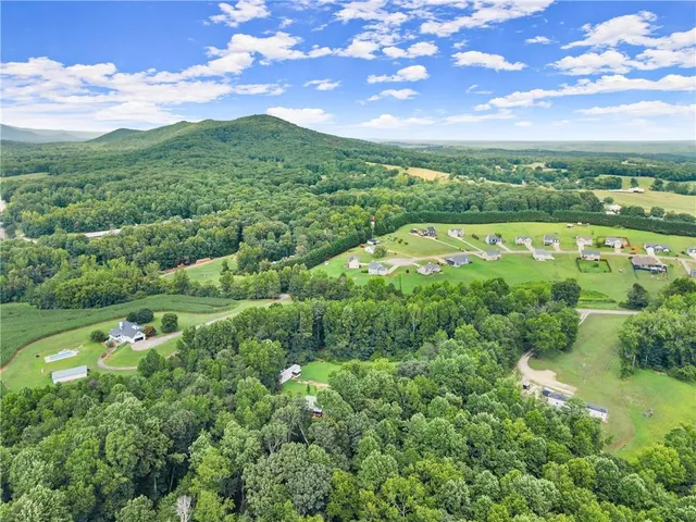 a view of a lush green forest with lots of trees