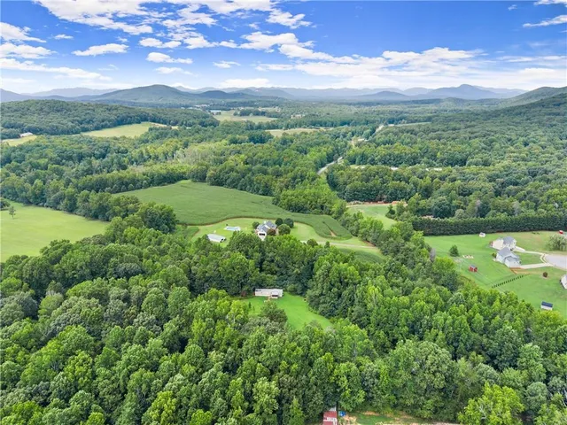 a view of a city with lush green forest