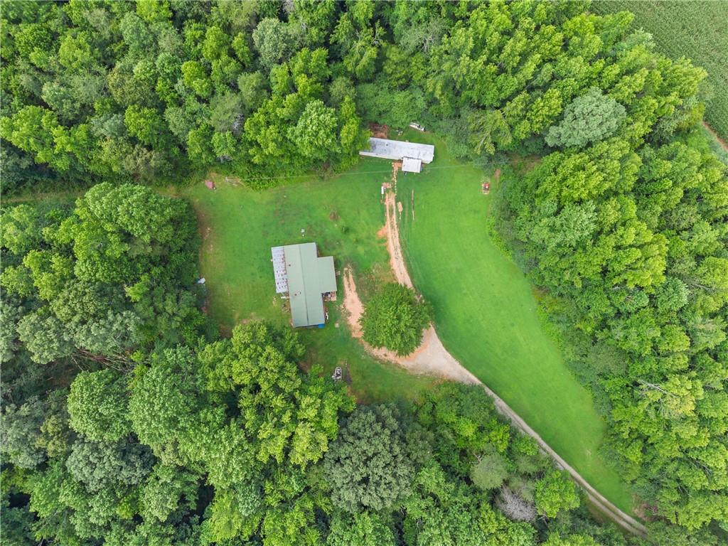 8285 Campground Road Clermont, GA 30527 - Photo 32 of 32 a view of a garden with a fountain