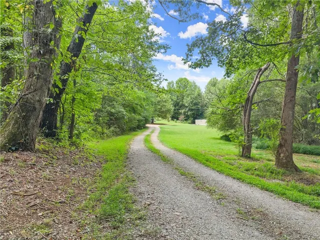 a view of a park with large trees