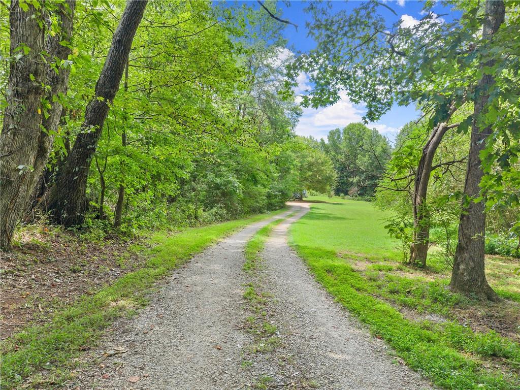 8285 Campground Road Clermont, GA 30527 - Photo 5 of 32 a view of a yard with plants and large trees
