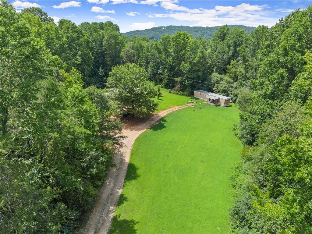 8285 Campground Road Clermont, GA 30527 - Photo 8 of 32 a view of a garden with a building in the background