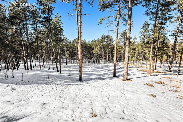 Evergreen Road Colorado Springs, CO 80921 - Photo 10 of 13 View of yard layered in snow