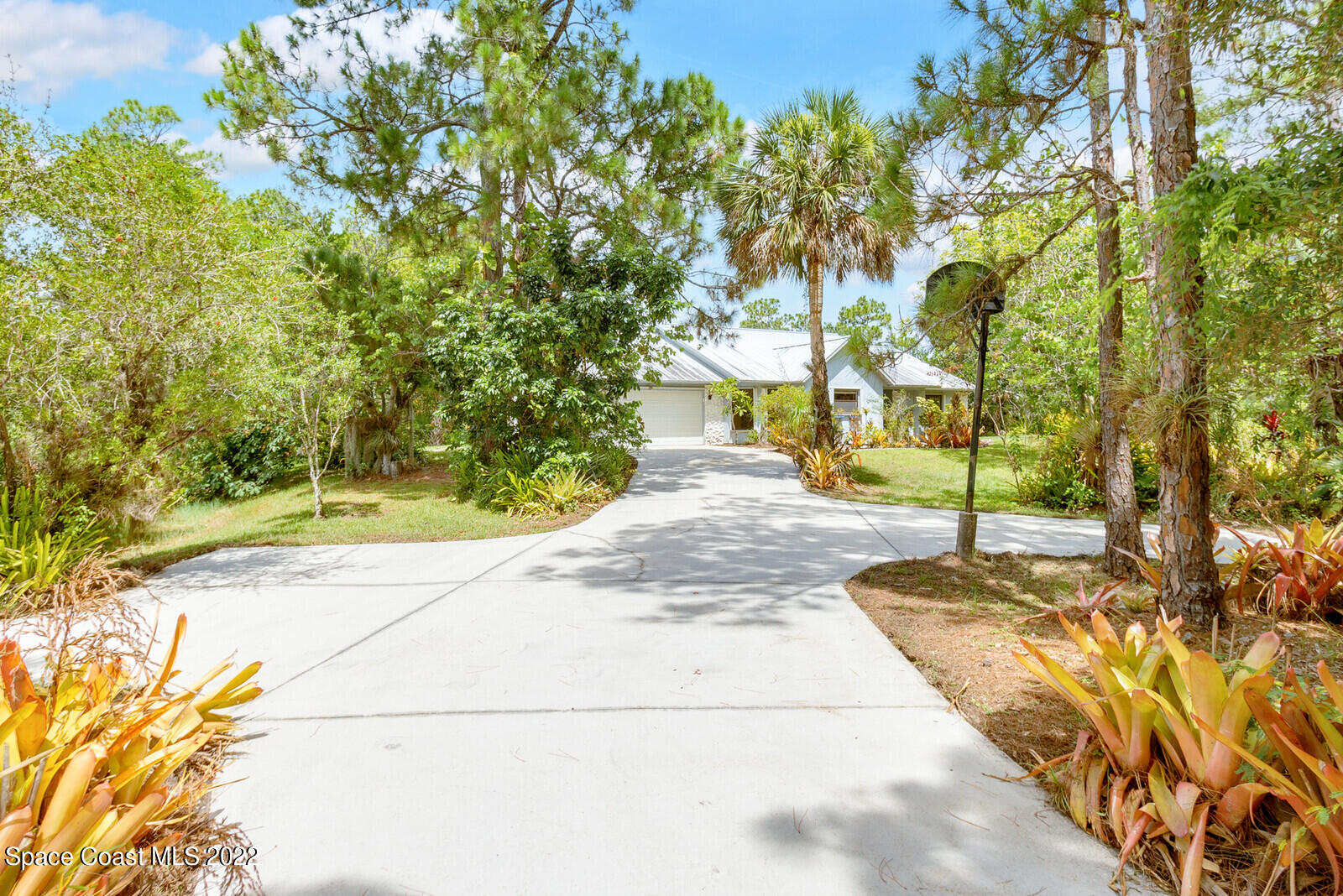 4650 Corey Road Grant Valkaria, FL 32950 - Photo 43 of 56 a view of a yard with plants and trees