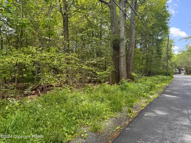 a view of a garden with plants