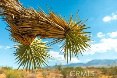 $52,000 | 0 Vac/cor Avenue, Llano, CA 93544