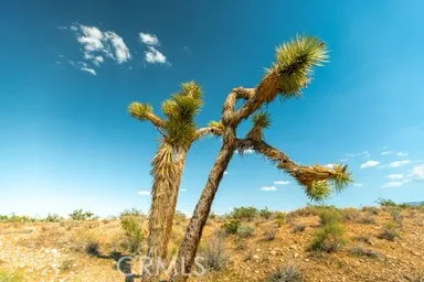 $52,000 | 0 Vac/cor Avenue, Llano, CA 93544