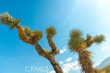 $52,000 | 0 Vac/cor Avenue, Llano, CA 93544