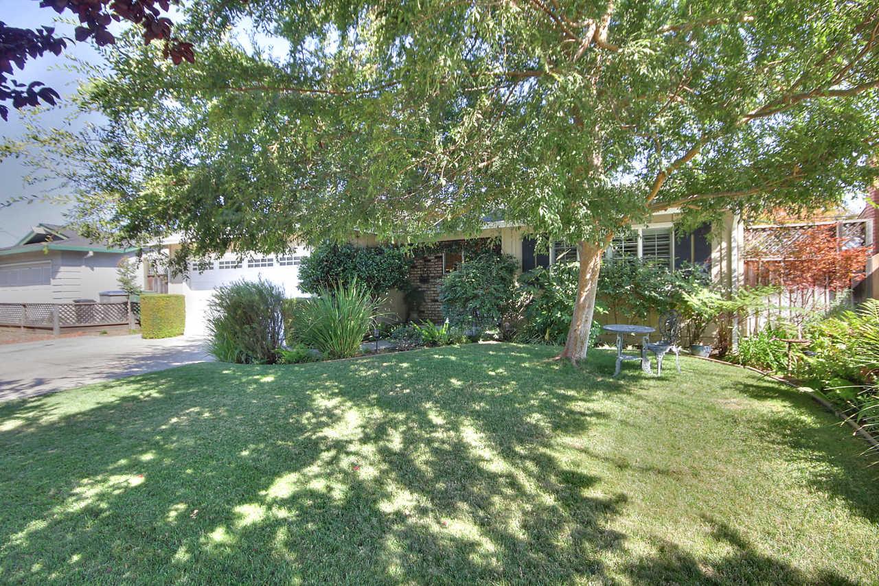3953 Bucknall Road Campbell, CA 95008 - Photo 4 of 30 a view of a tree in front of a house