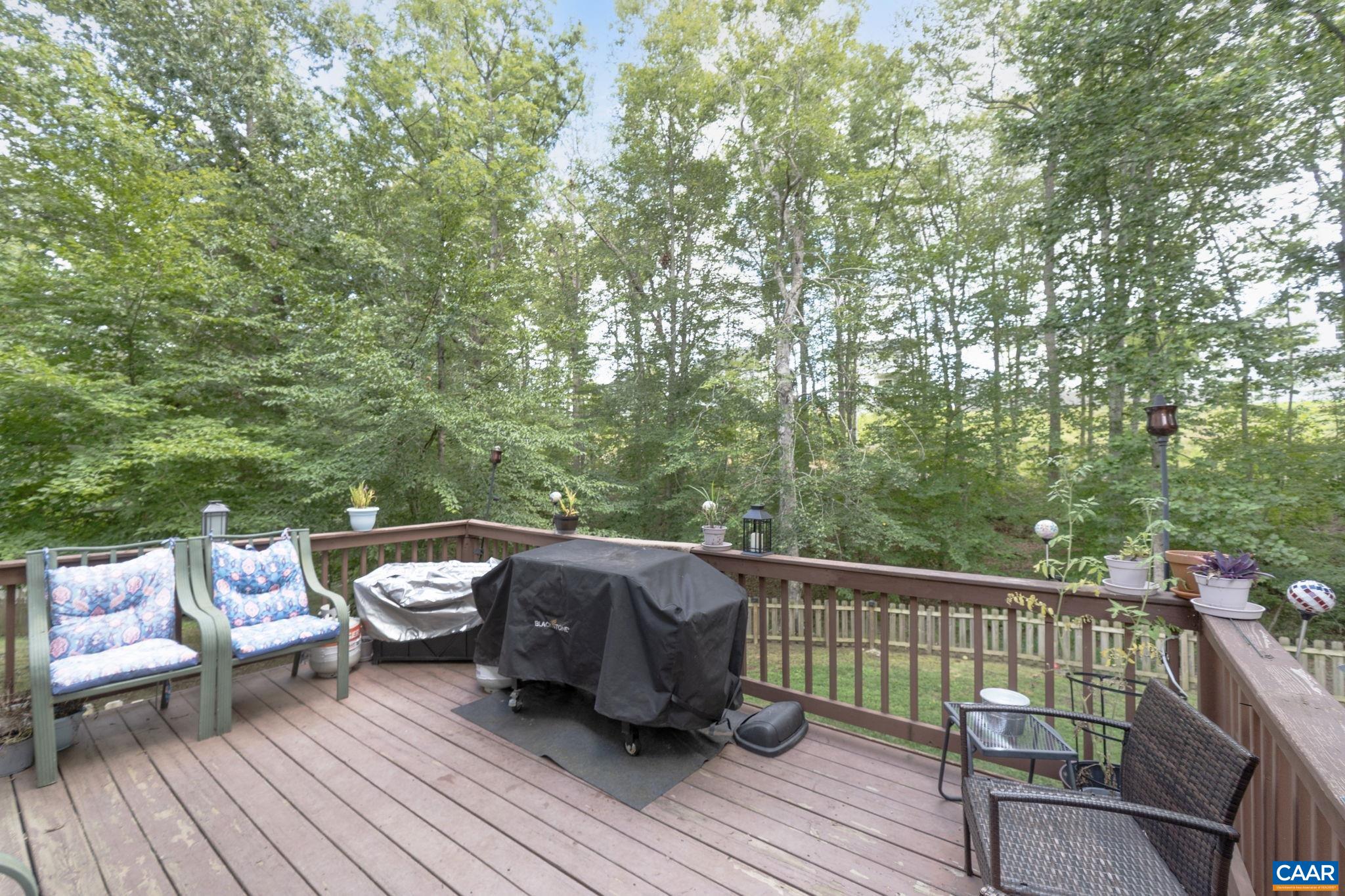89 Riverside Drive Palmyra, VA 22963 - Photo 26 of 38 a view of deck and deck