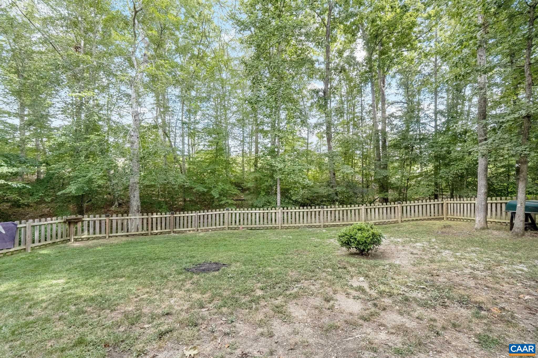 89 Riverside Drive Palmyra, VA 22963 - Photo 27 of 38 a view of outdoor space with backyard