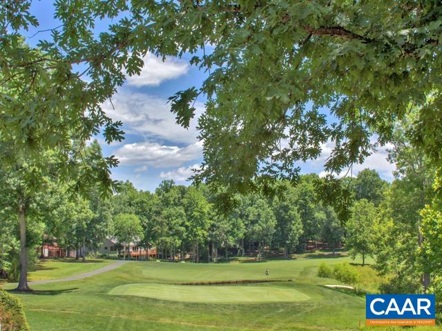 89 Riverside Drive Palmyra, VA 22963 - Photo 46 of 47 a view of a garden