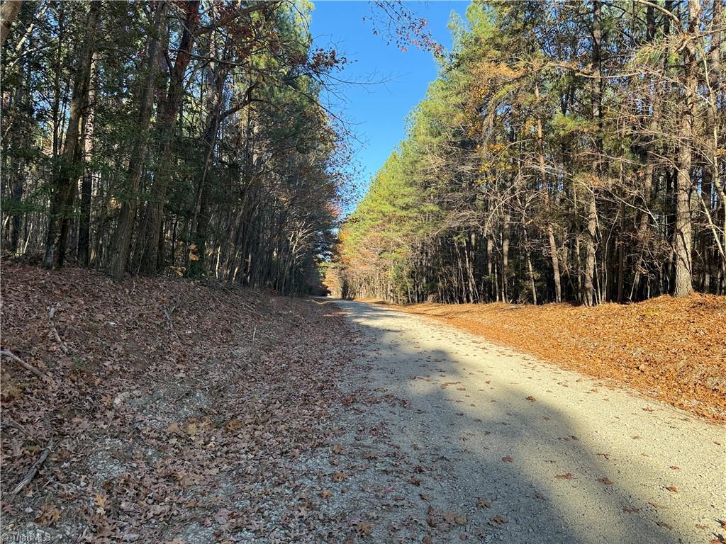 Lot 3 Willie Road Seagrove, NC 27341 - Photo 11 of 14