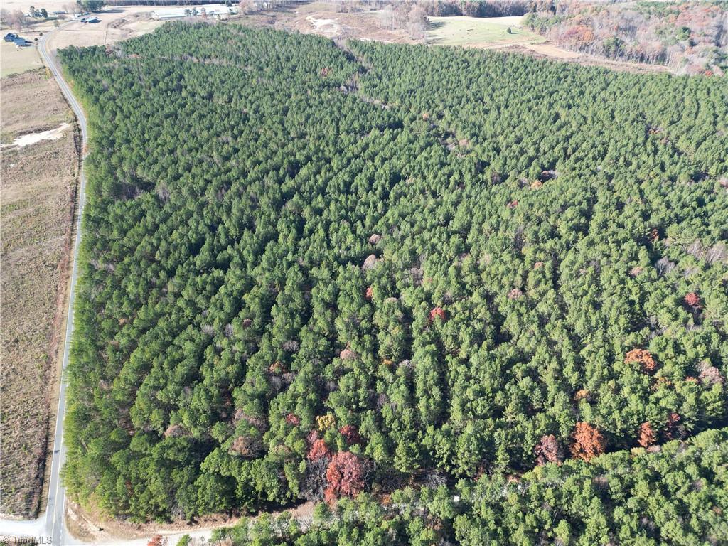 Lot 3 Willie Road Seagrove, NC 27341 - Photo 2 of 14