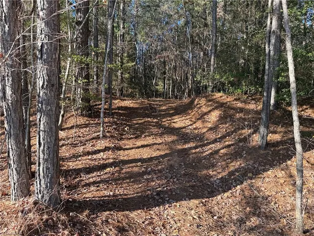 $132,500 | Lot 3 Willie Road, Seagrove, NC 27341