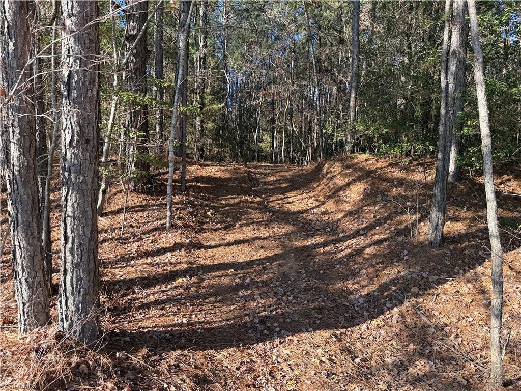Lot 3 Willie Road Seagrove, NC 27341 - Photo 4 of 14