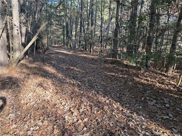 $132,500 | Lot 3 Willie Road, Seagrove, NC 27341