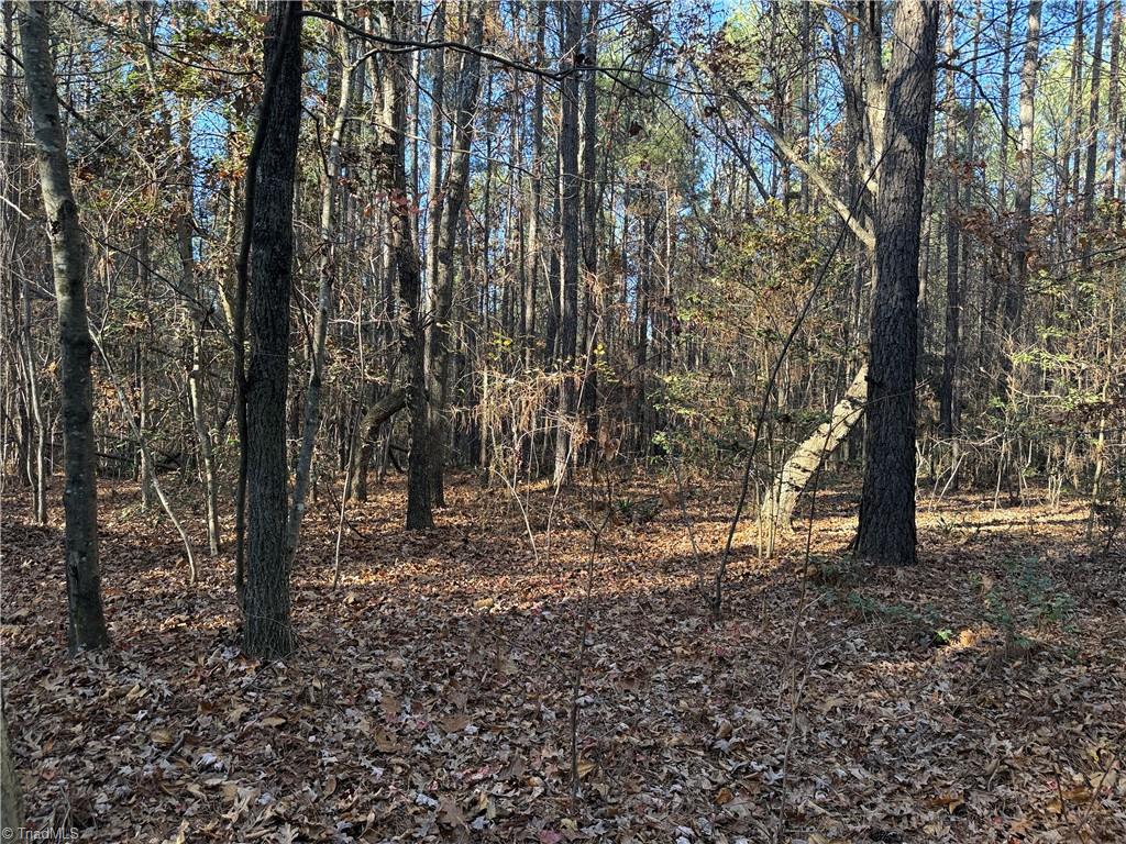 Lot 3 Willie Road Seagrove, NC 27341 - Photo 6 of 14