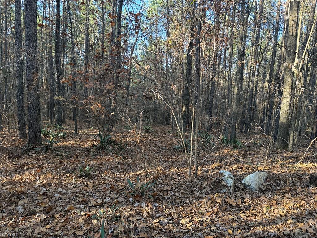 Lot 3 Willie Road Seagrove, NC 27341 - Photo 7 of 14