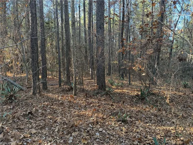 $132,500 | Lot 3 Willie Road, Seagrove, NC 27341