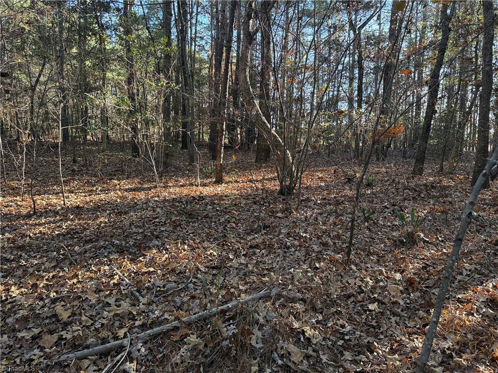 Lot 3 Willie Road Seagrove, NC 27341 - Photo 9 of 14