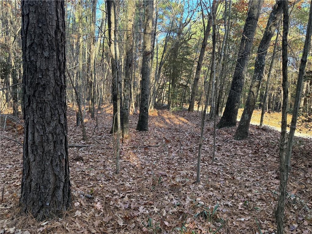 Lot 3 Willie Road Seagrove, NC 27341 - Photo 10 of 14