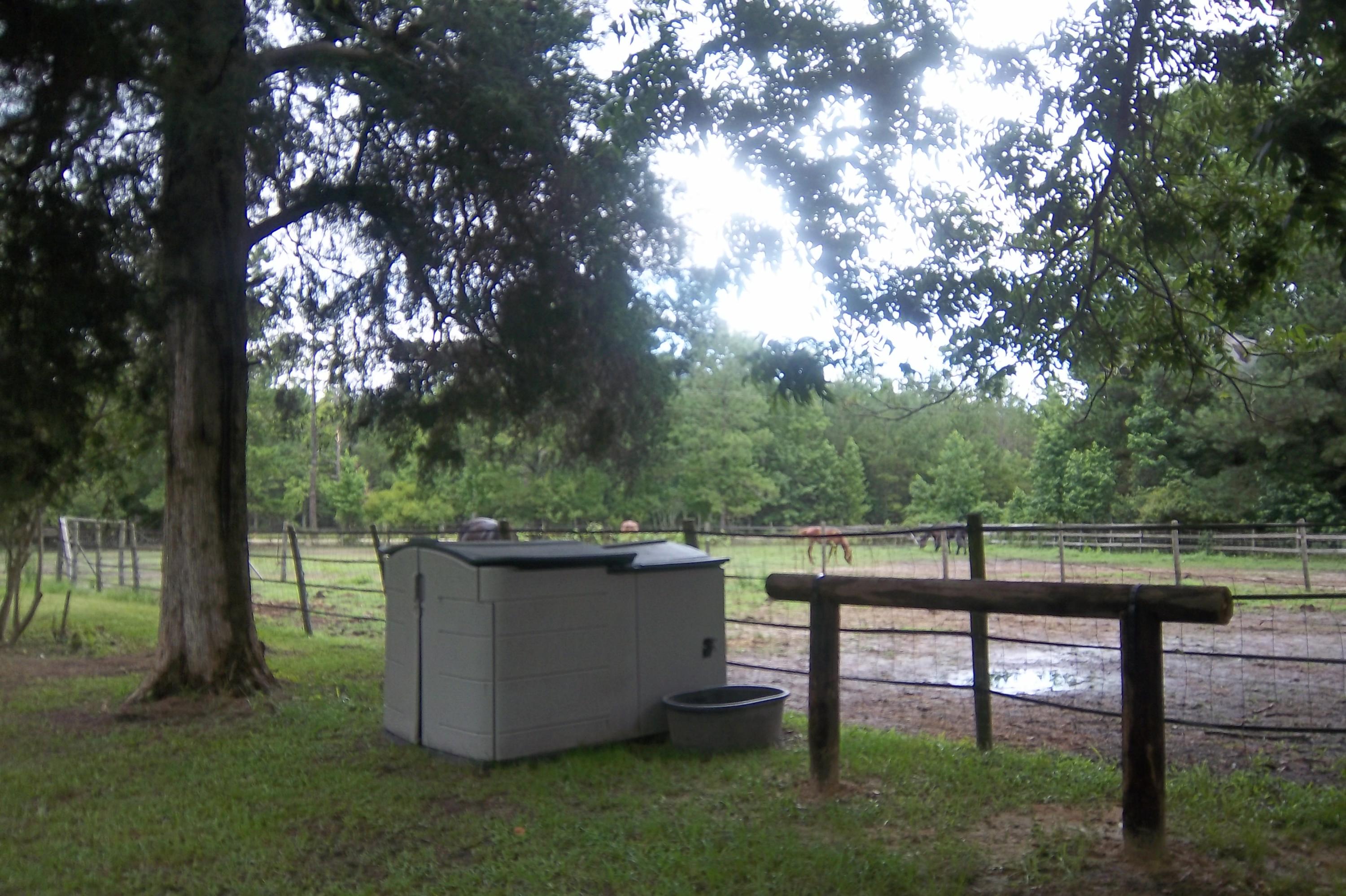 2998 Weans Road Walterboro, SC 29488 - Photo 20 of 44 Paddocks 1 & 2