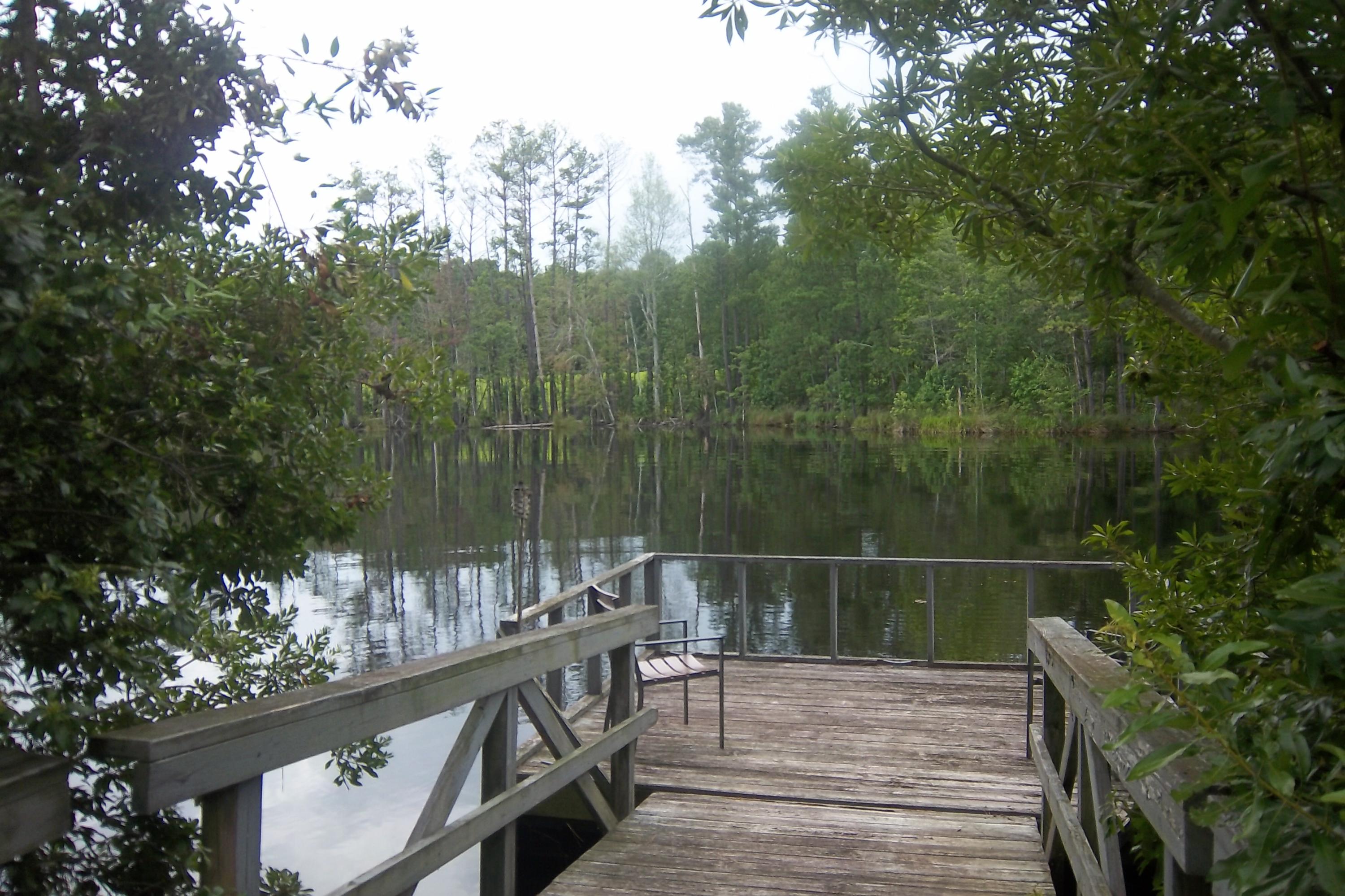 2998 Weans Road Walterboro, SC 29488 - Photo 3 of 44 Floating Dock