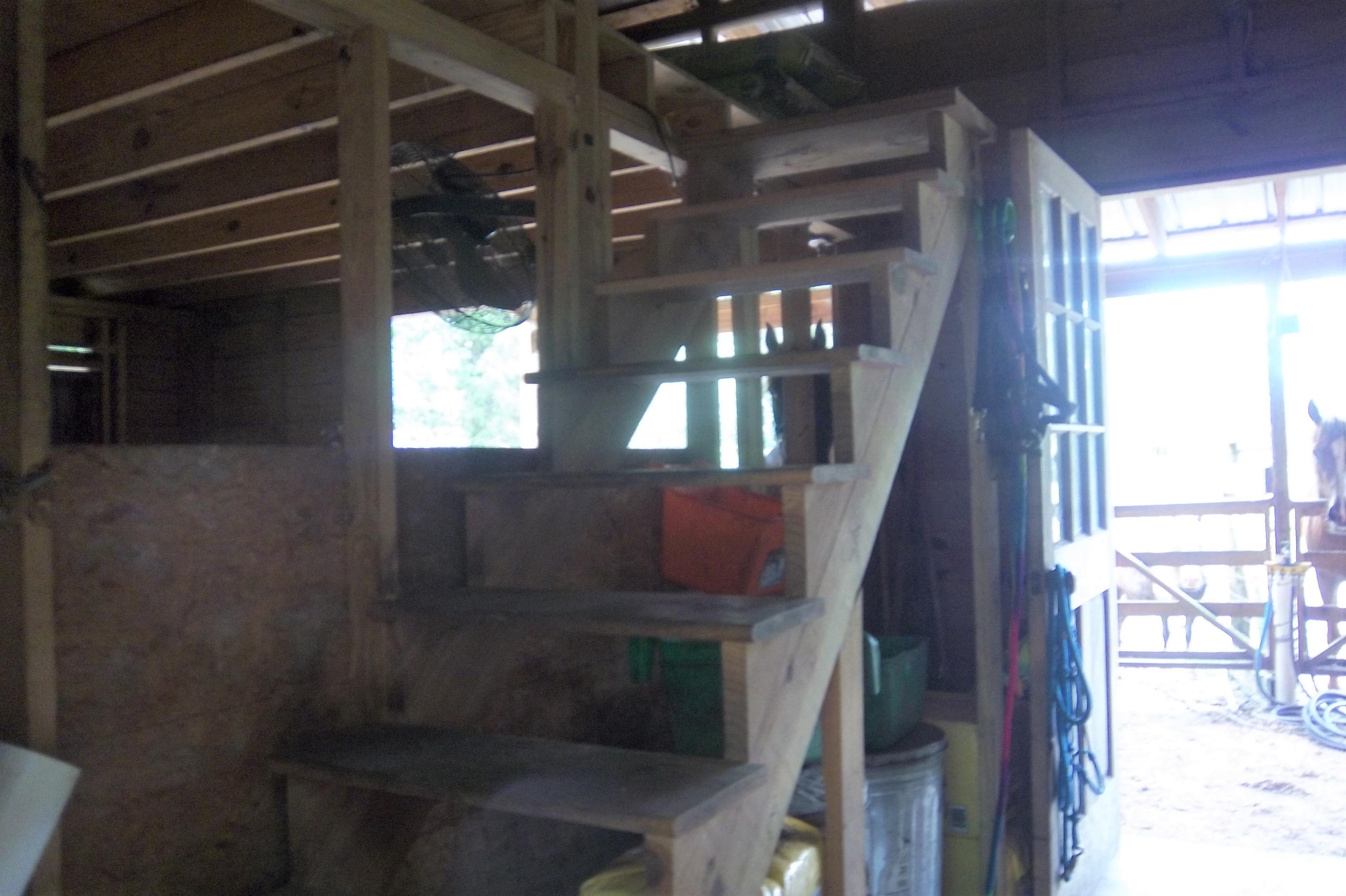 2998 Weans Road Walterboro, SC 29488 - Photo 24 of 44 Inside Barn view