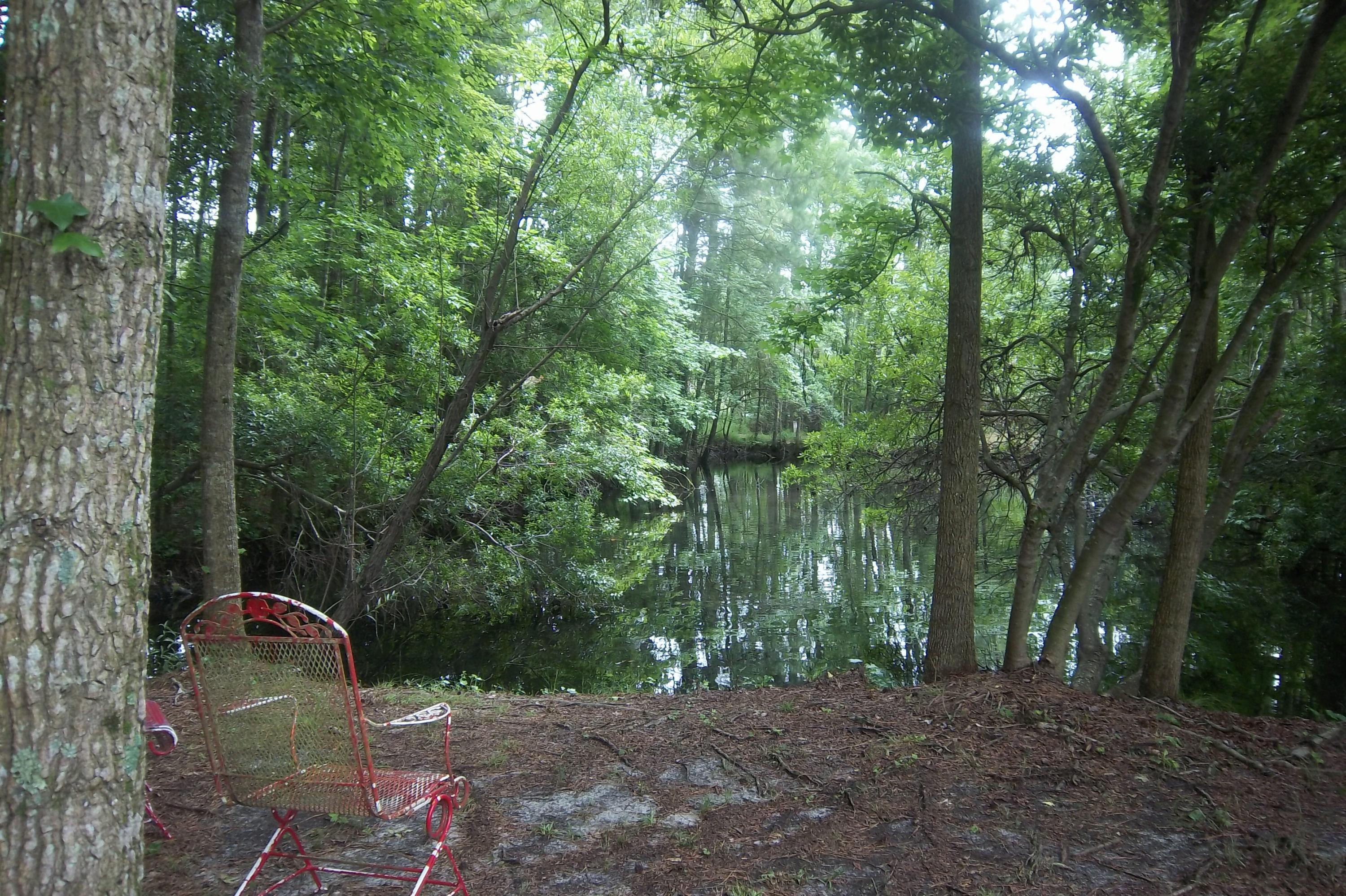 2998 Weans Road Walterboro, SC 29488 - Photo 27 of 44 Little Pond, view 2