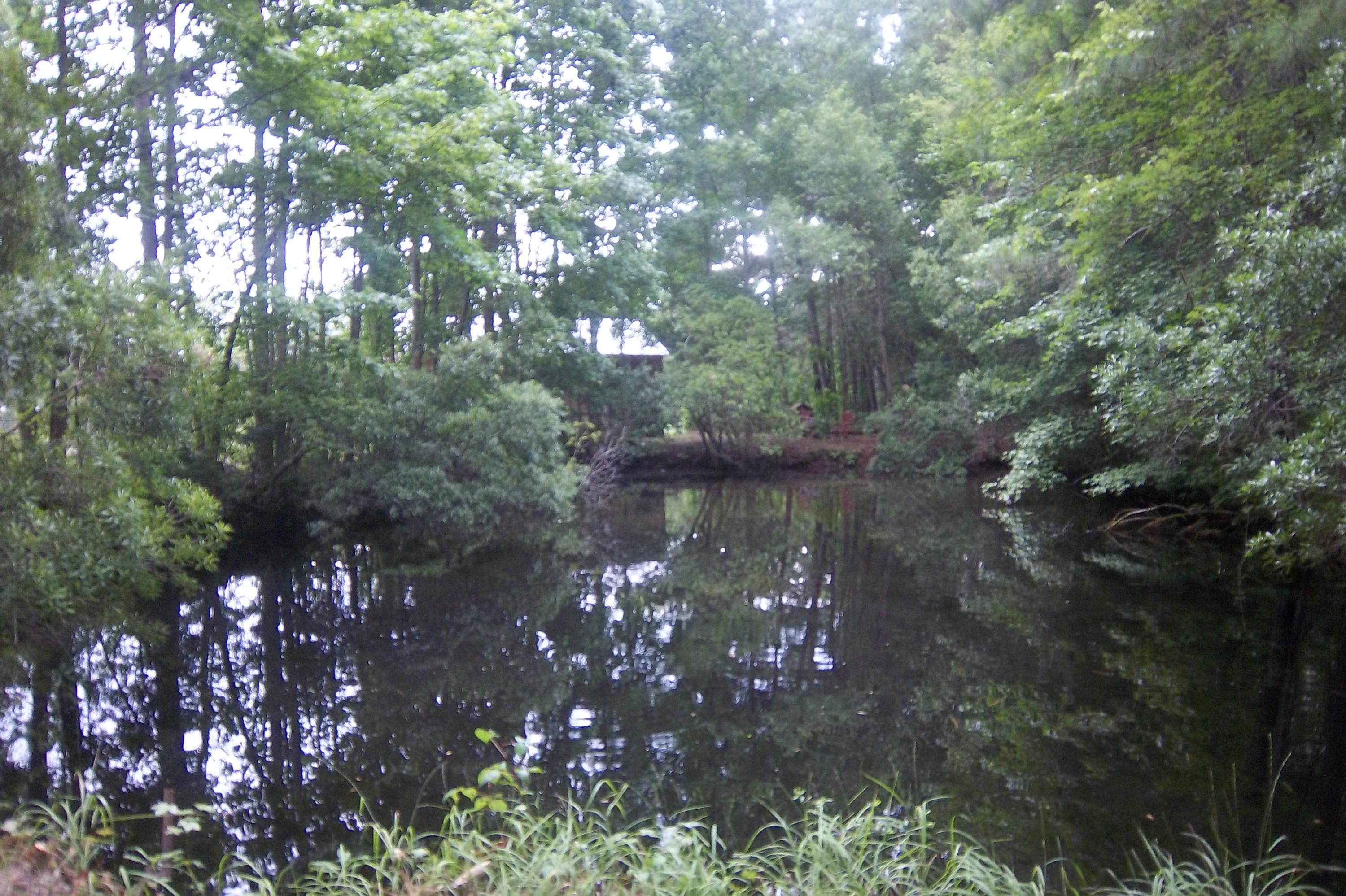 2998 Weans Road Walterboro, SC 29488 - Photo 28 of 44 Little Pond view 3