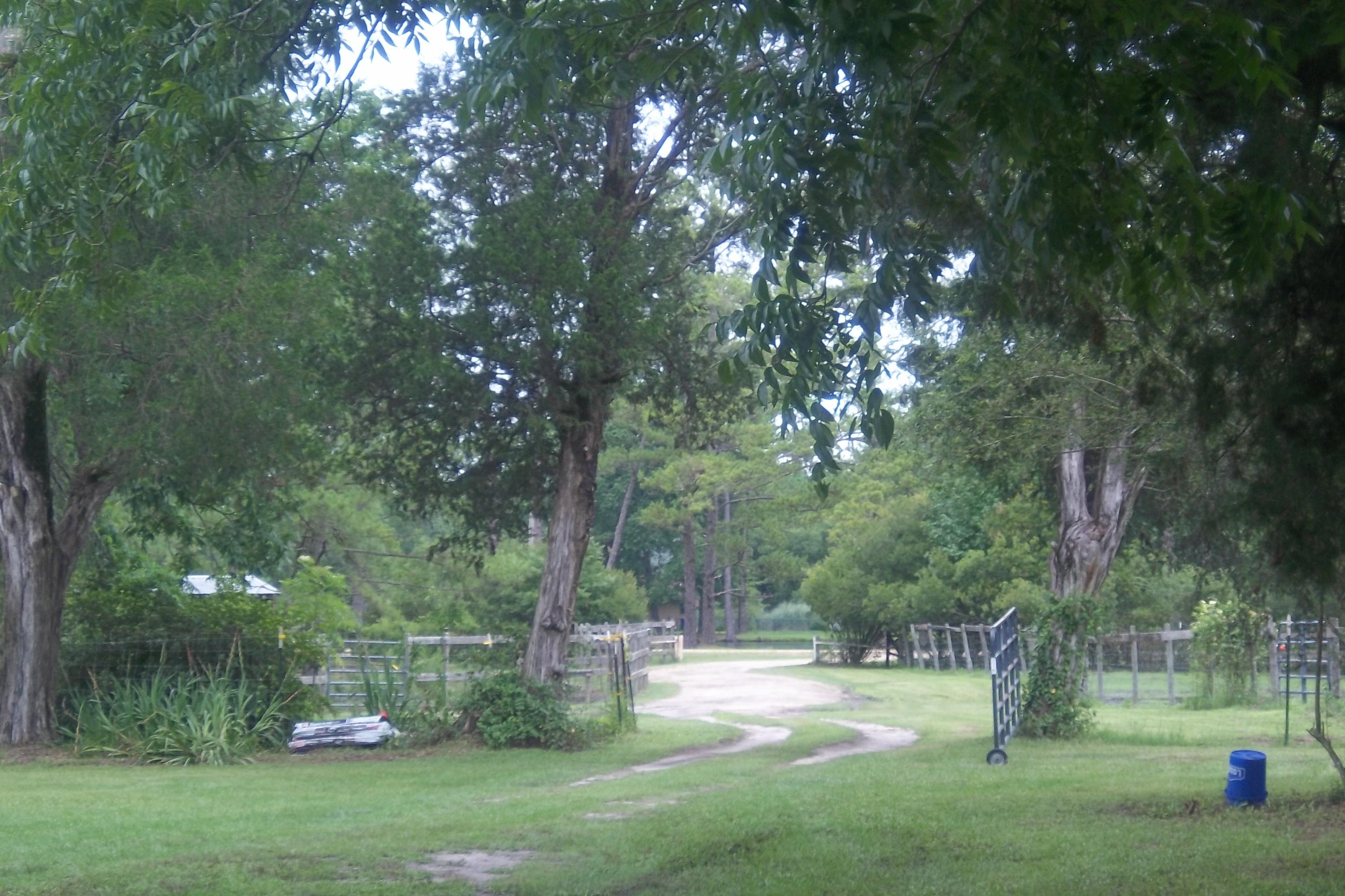 2998 Weans Road Walterboro, SC 29488 - Photo 29 of 44 House Gate