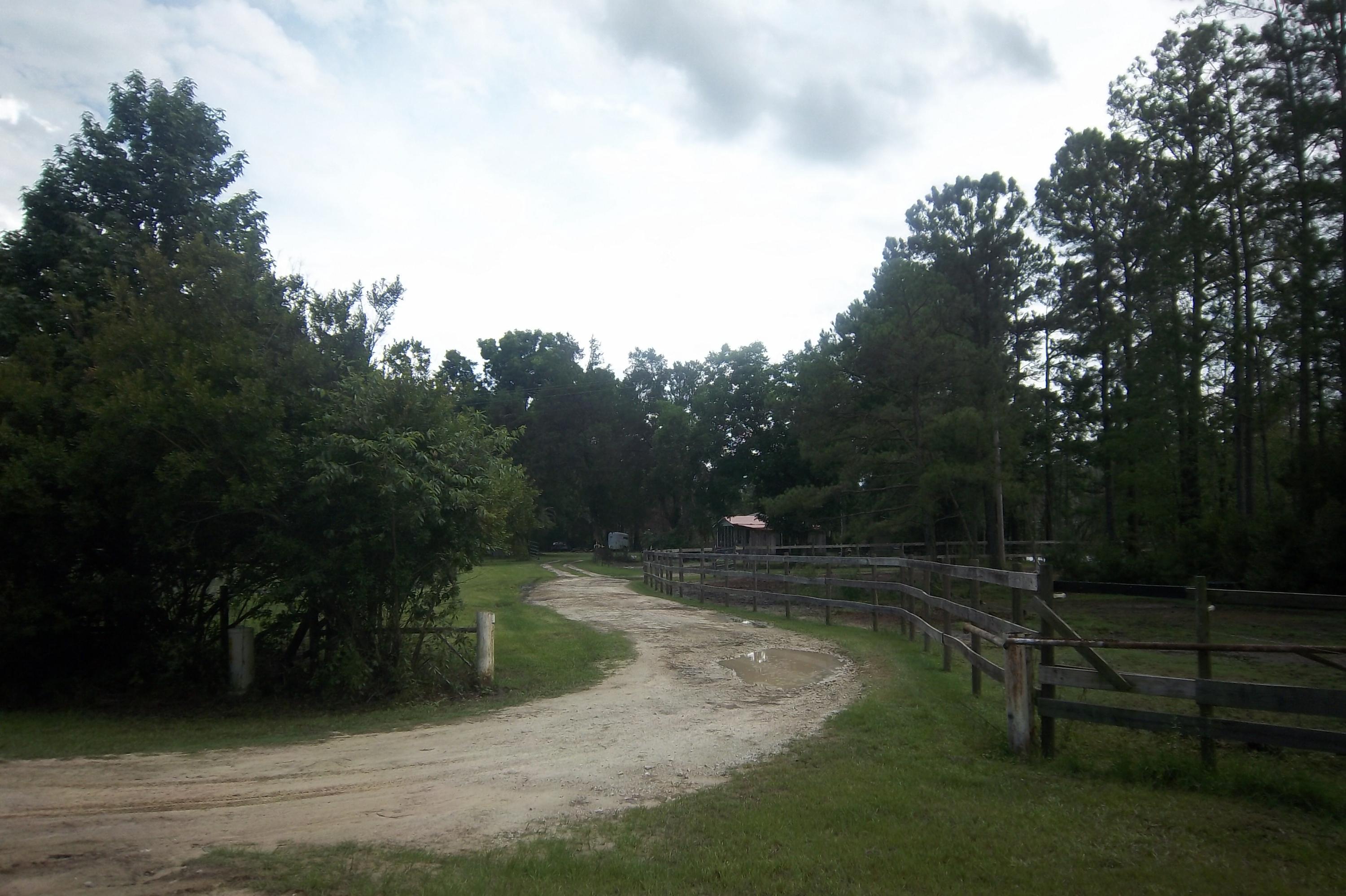 2998 Weans Road Walterboro, SC 29488 - Photo 4 of 44 Property Entrance
