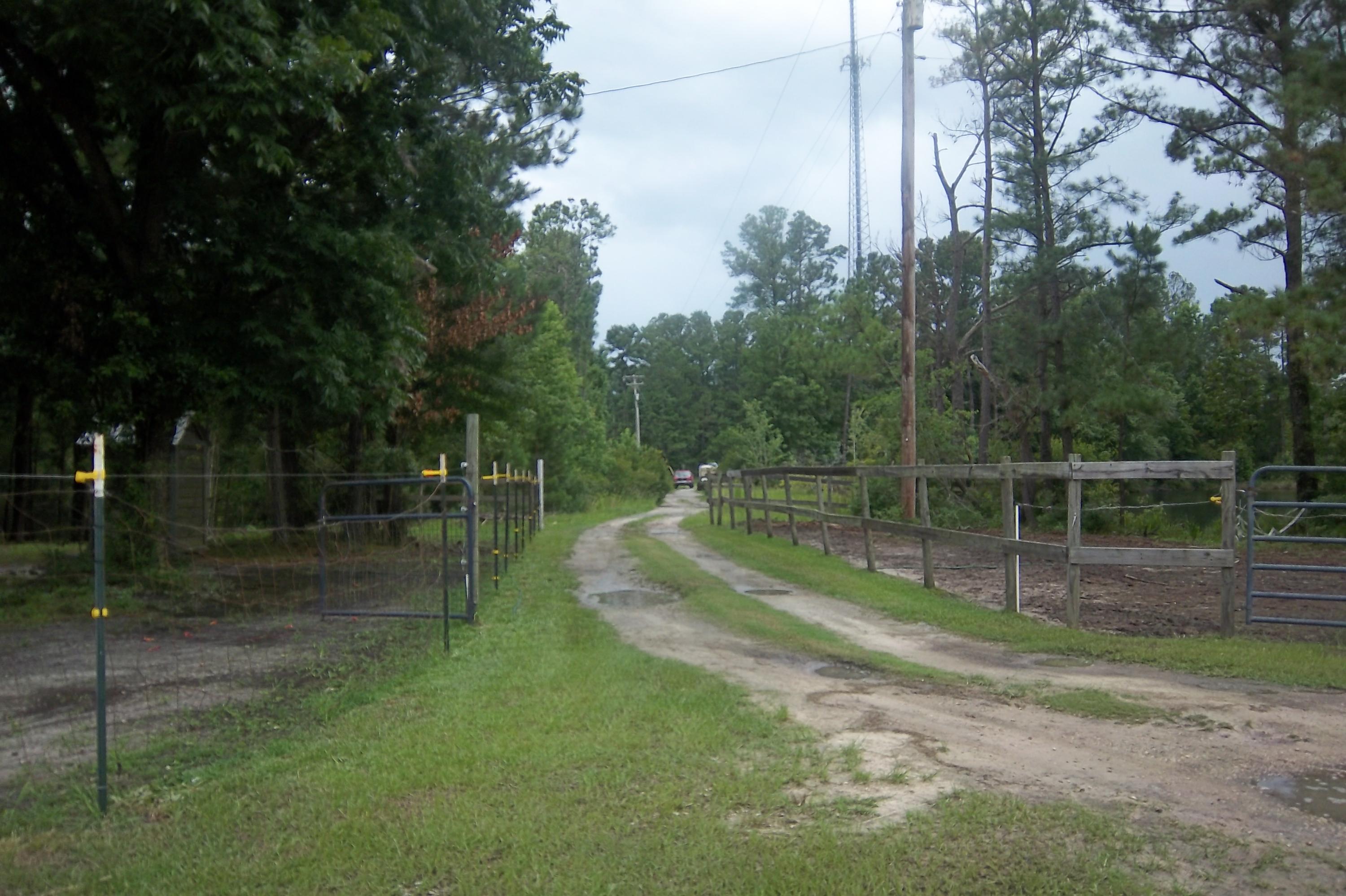 2998 Weans Road Walterboro, SC 29488 - Photo 31 of 44 Road to Metal building