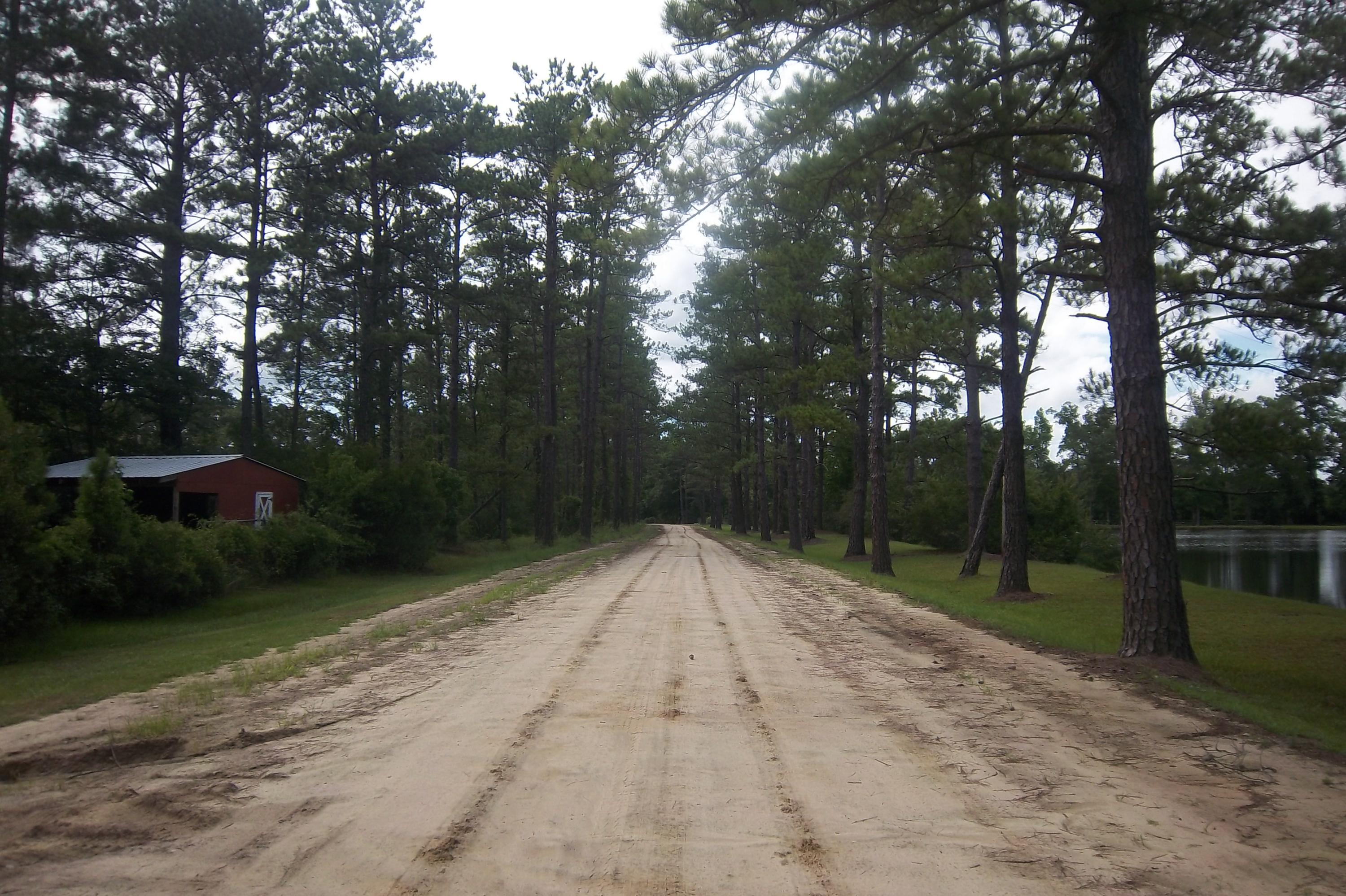 2998 Weans Road Walterboro, SC 29488 - Photo 42 of 44 Road View