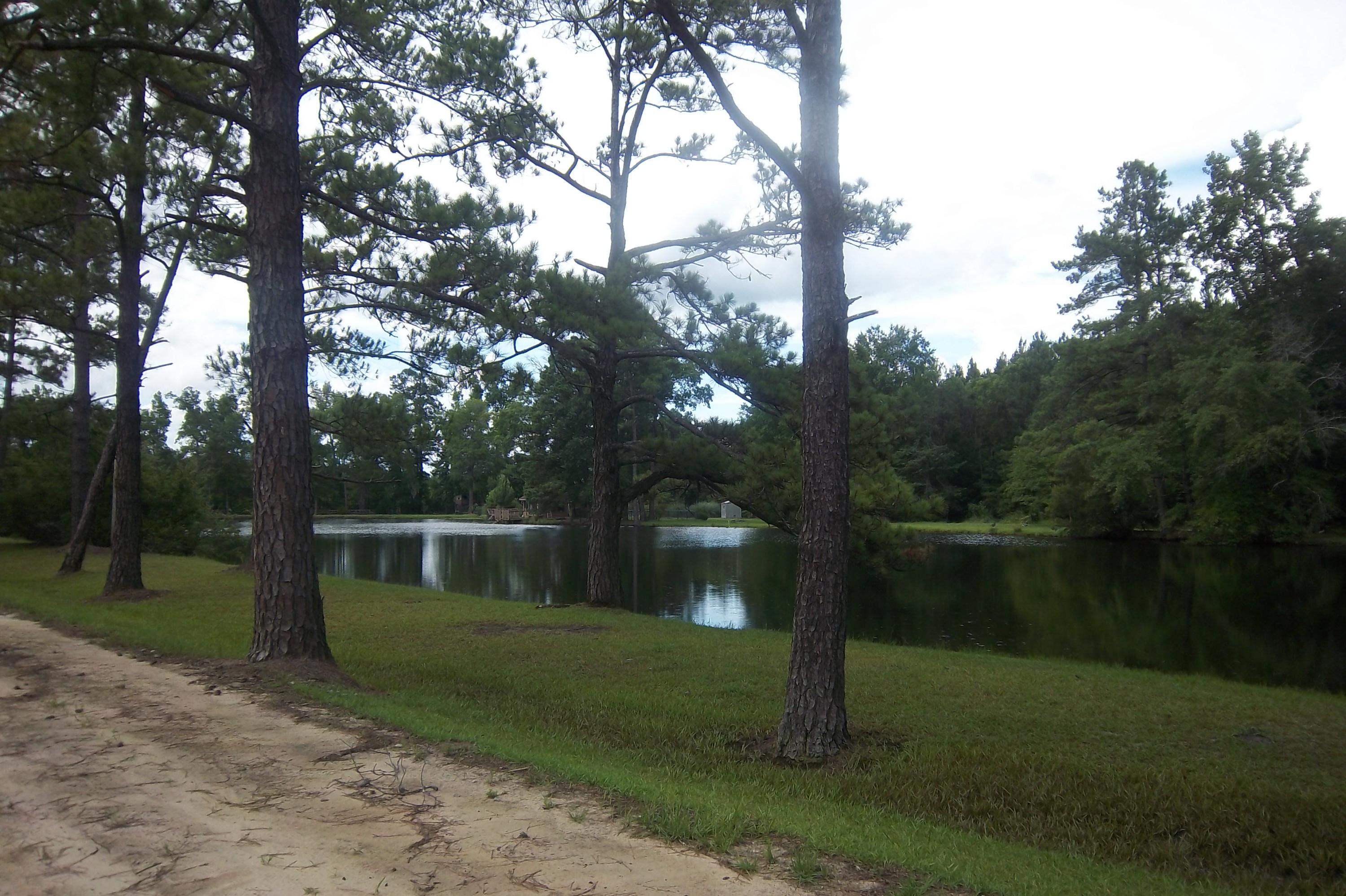 2998 Weans Road Walterboro, SC 29488 - Photo 43 of 44 Road view 4