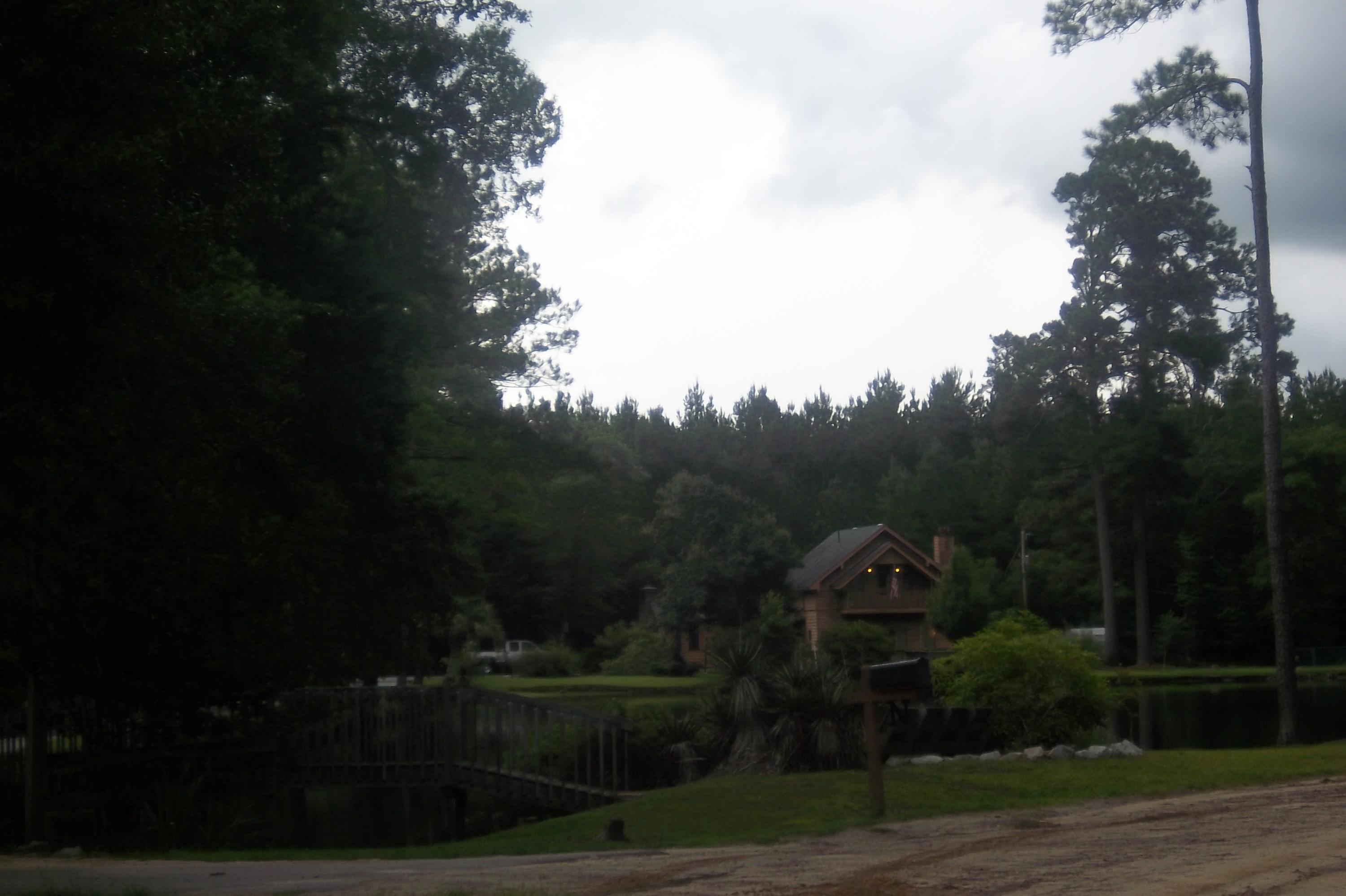 2998 Weans Road Walterboro, SC 29488 - Photo 44 of 44 Neighbor's house on their pond