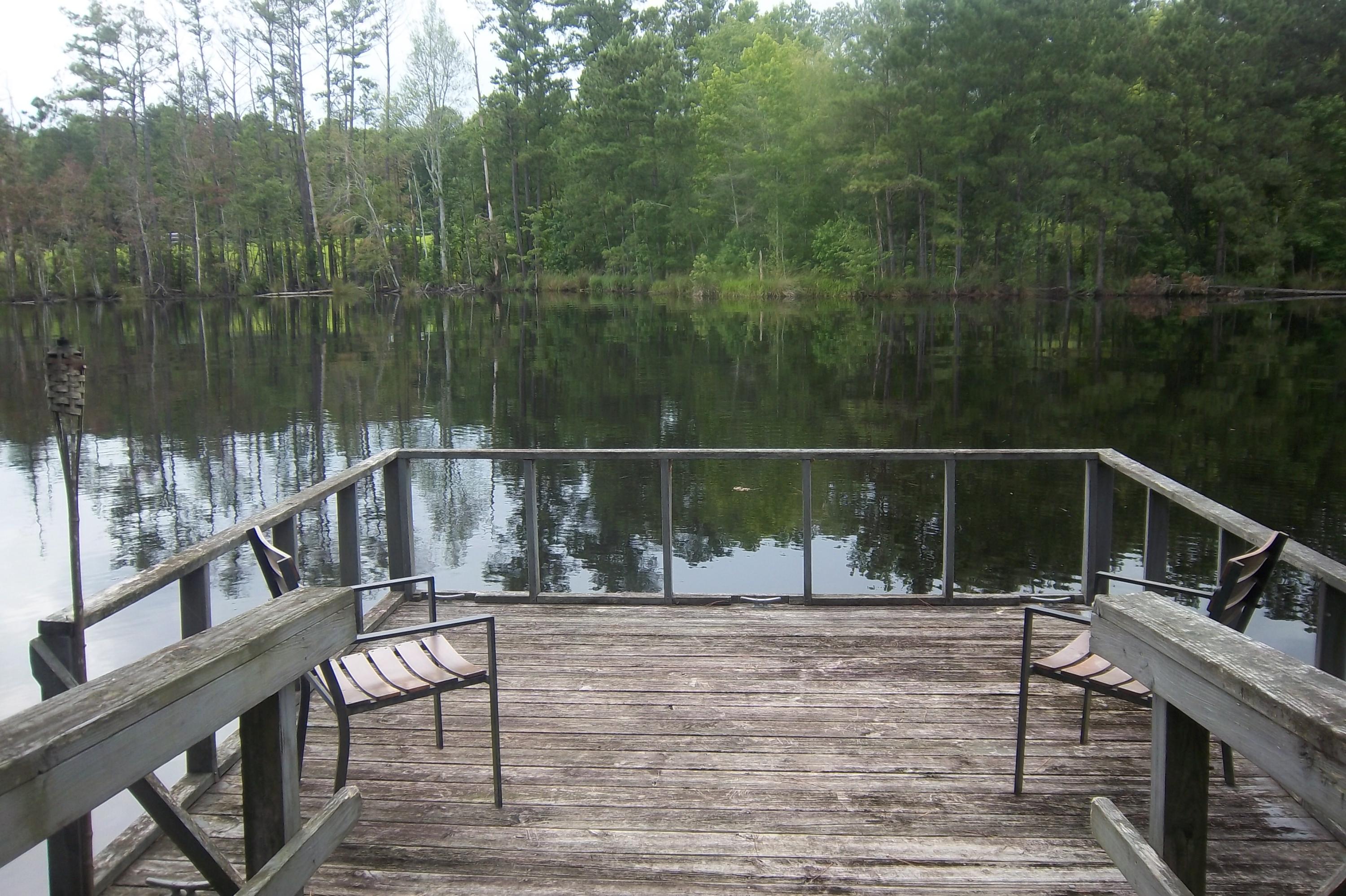 2998 Weans Road Walterboro, SC 29488 - Photo 7 of 44 Floating Dock view 2