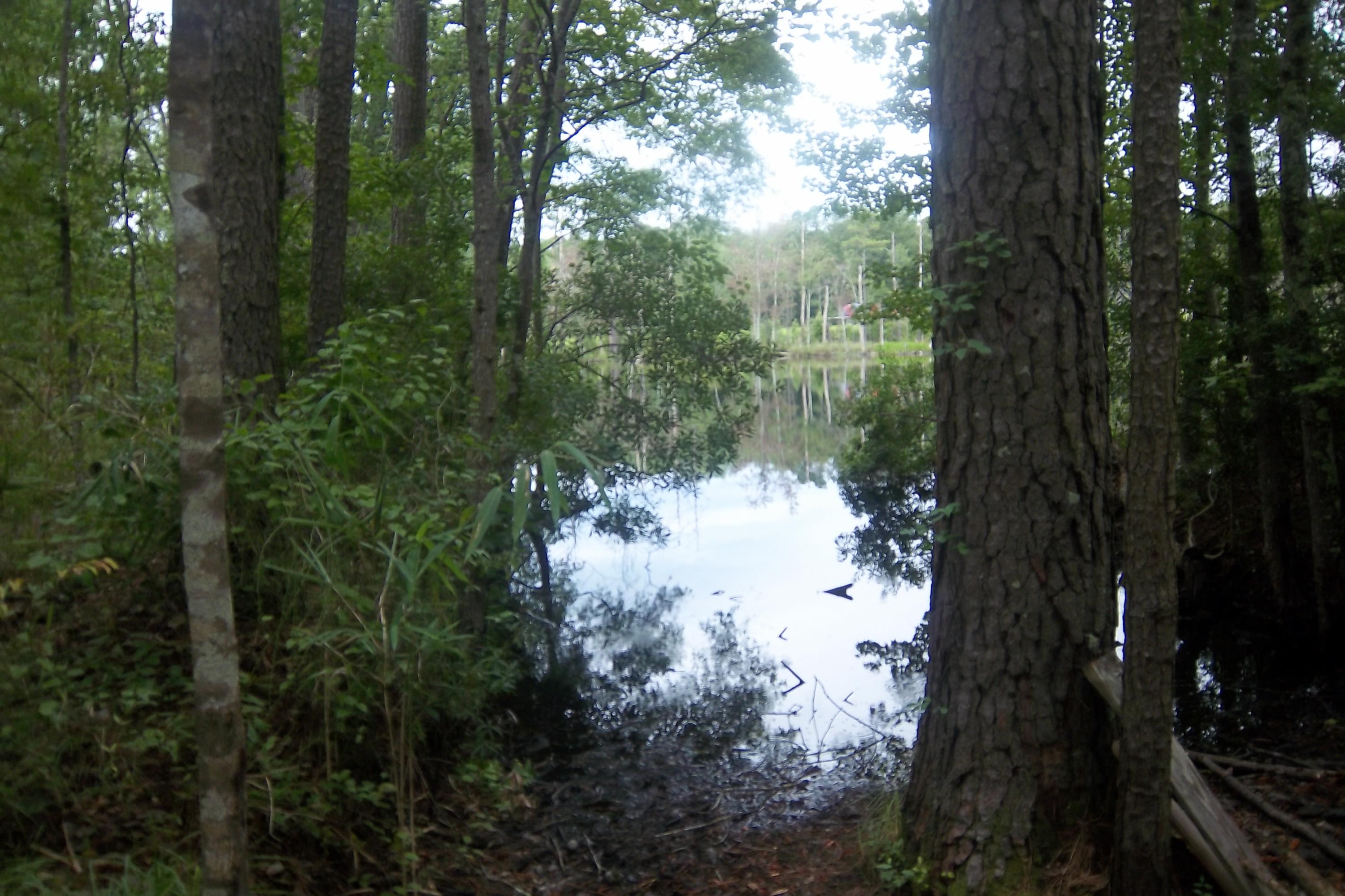 2998 Weans Road Walterboro, SC 29488 - Photo 10 of 44 Boat launch onto Big Lake behind the hou