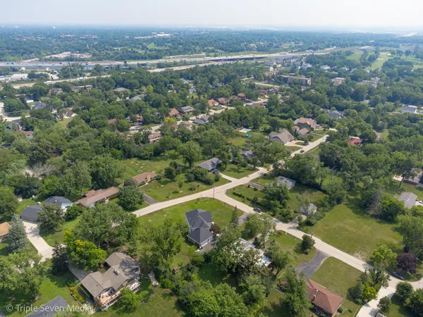 an aerial view of green landscape with trees houses and mountain view
