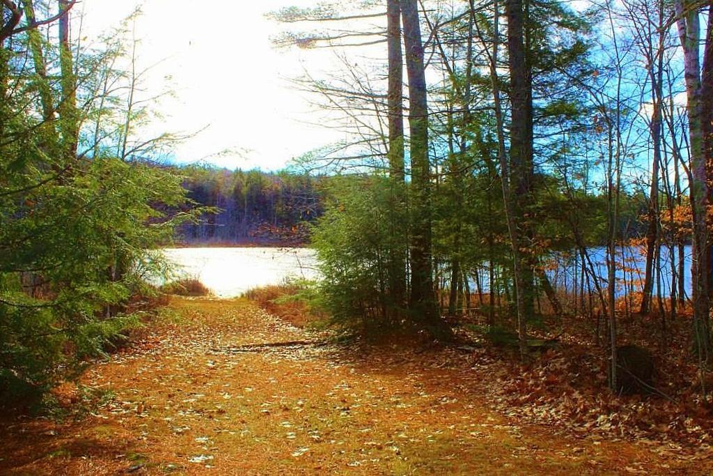355 Chesterville Ridge Road Kents Hill, ME 04349 - Photo 14 of 20 Photo