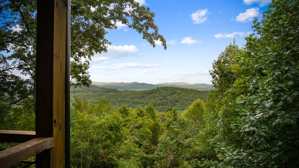 401 Sunrock Mountain Trace Blue Ridge, GA 30513 - Photo 54 of 80 Gallery Image 54