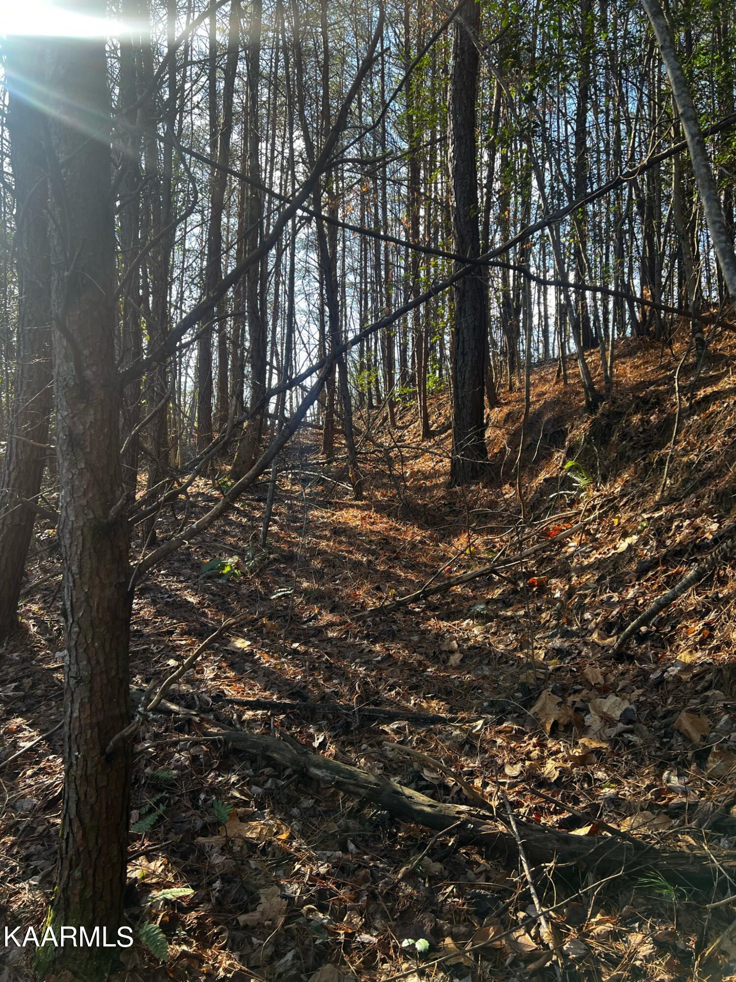 Raper Rd Road Farner, TN 37333 - Photo 15 of 15 F3DCCD0F-32E7-472E-BAF9-F6FBF629AB7B