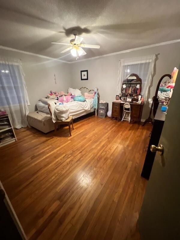 534 County Highway Winfield, AL 35594 - Photo 2 of 17 Gallery Image 2
