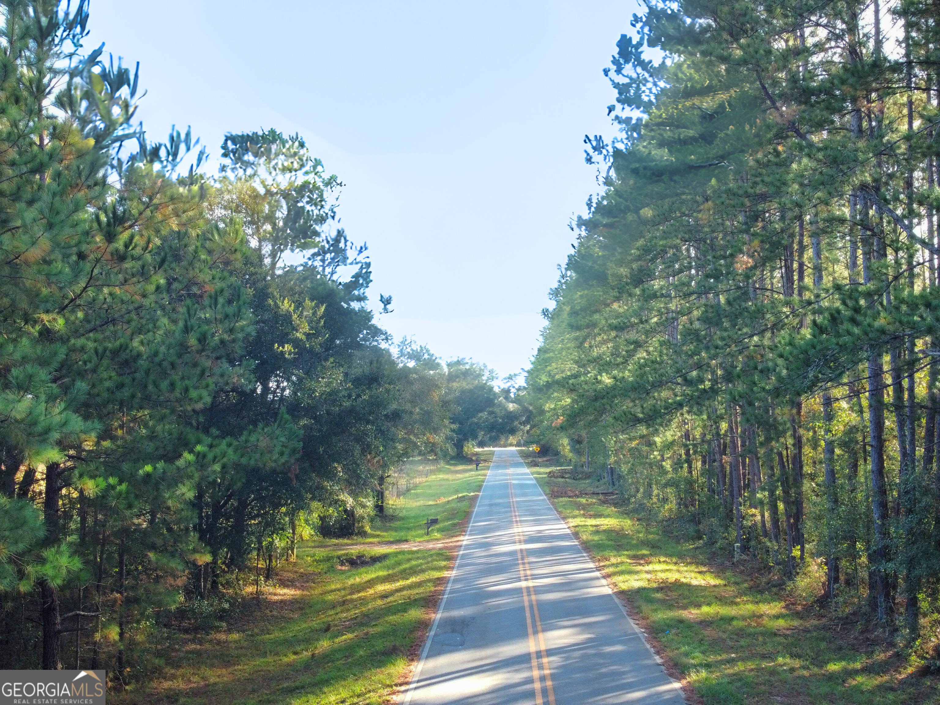 a view of yard with green space
