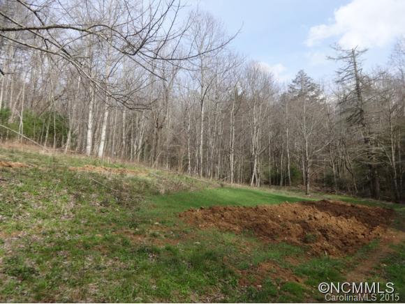 1972 Crabtree Road Spruce Pine, NC 28777 - Photo 12 of 14 Gallery Image 12